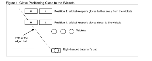 Kricket Keeper Set Up and Review - Cricket Keeper - How to Use a