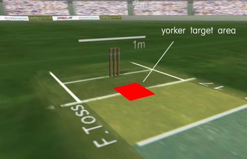 PitchVision Live Local Matches Cricket Tips Techniques Cricket 